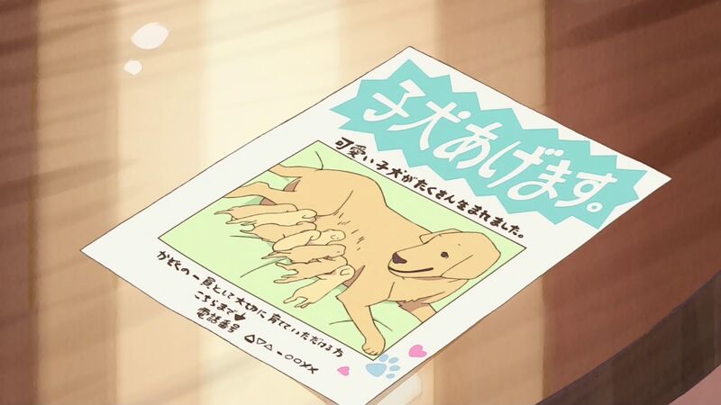 f:id:hotomaru:20200516232819j:plain