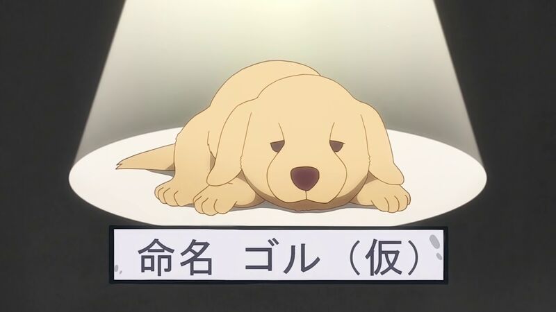 f:id:hotomaru:20200523151516j:plain f:id:hotomaru:20200523151516j:plain