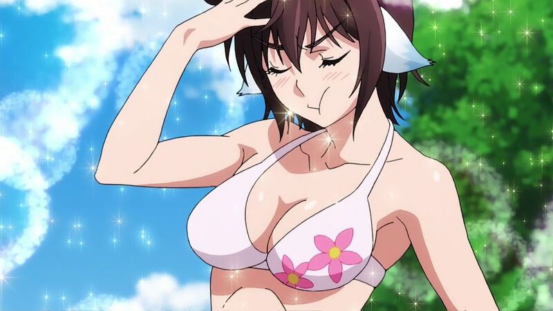 f:id:hotomaru:20200524204549j:plain f:id:hotomaru:20200524204549j:plain