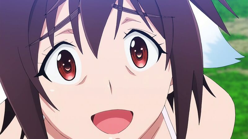 f:id:hotomaru:20200524204733j:plain f:id:hotomaru:20200524204733j:plain