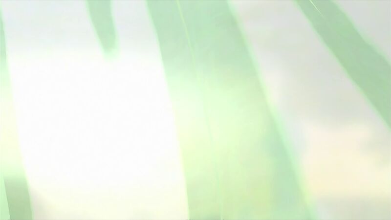 f:id:hotomaru:20200712232221j:plain