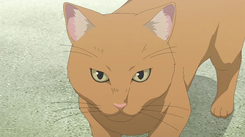 f:id:hotomaru:20200718222638j:plain