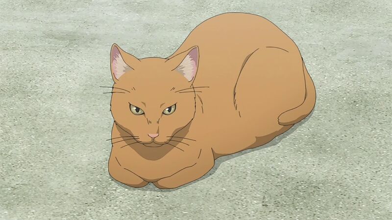 f:id:hotomaru:20200718222700j:plain