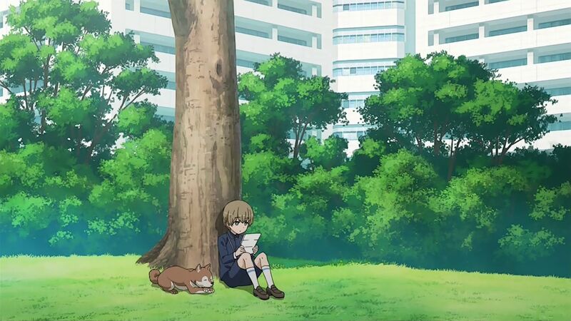 f:id:hotomaru:20200802145218j:plain f:id:hotomaru:20200802145218j:plain