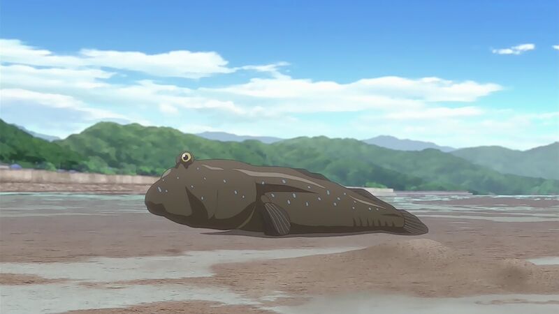 f:id:hotomaru:20200805214140j:plain f:id:hotomaru:20200805214140j:plain