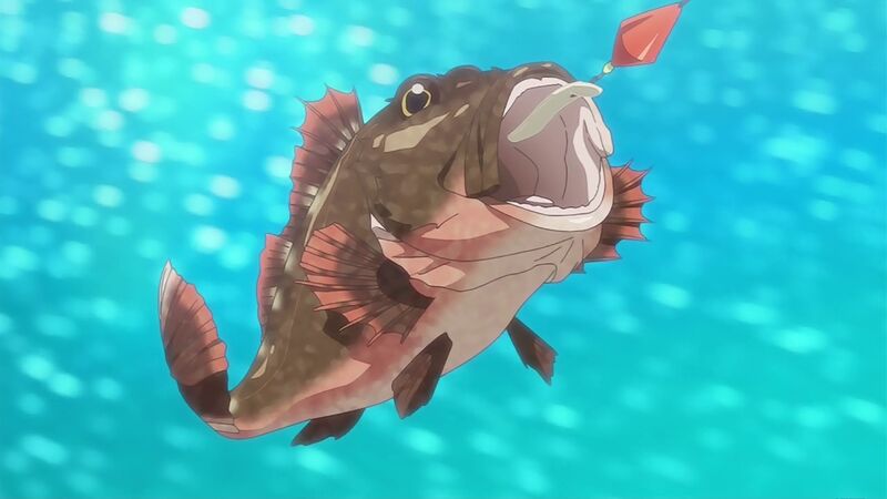 f:id:hotomaru:20200819224629j:plain