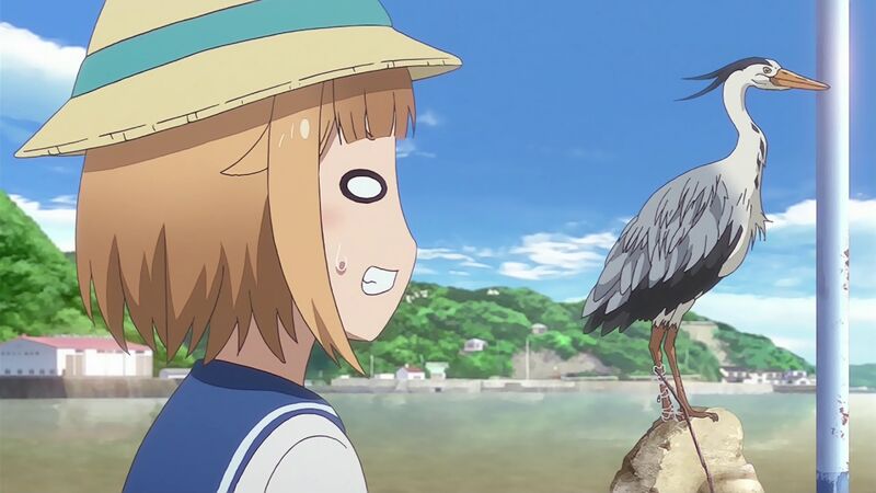 09 備えとアオサギ ほとまるブログ