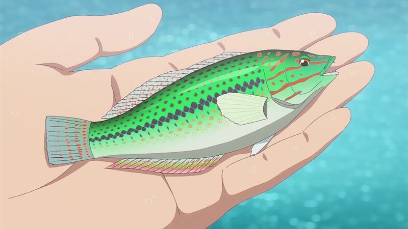 f:id:hotomaru:20200909215047j:plain