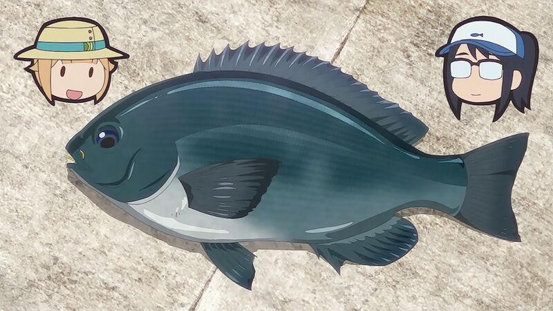 f:id:hotomaru:20200909215054j:plain