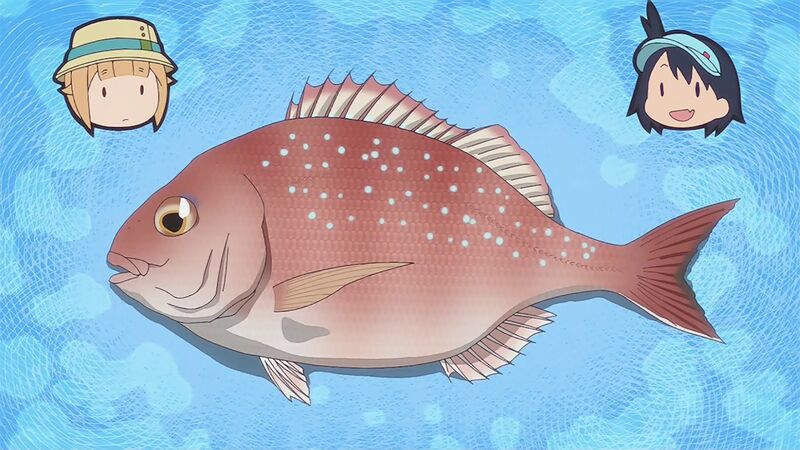 f:id:hotomaru:20200909215100j:plain