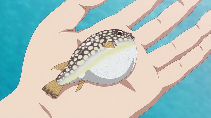 f:id:hotomaru:20200909215113j:plain