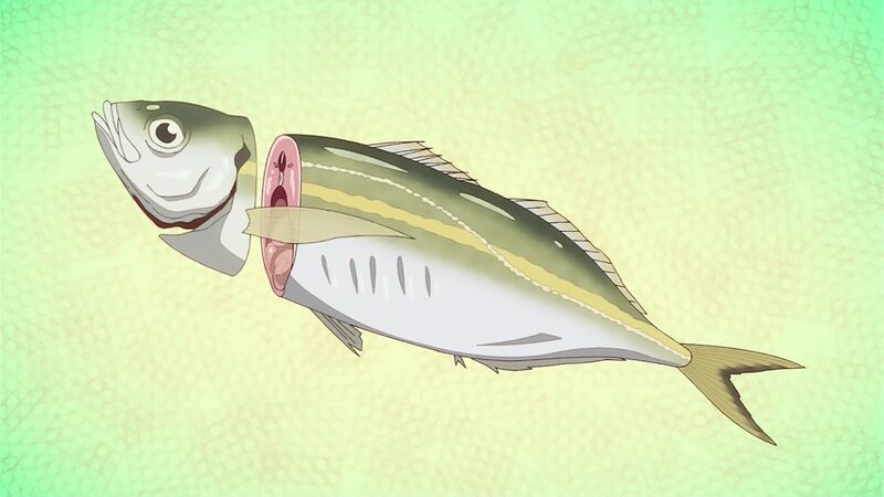 f:id:hotomaru:20200909215522j:plain