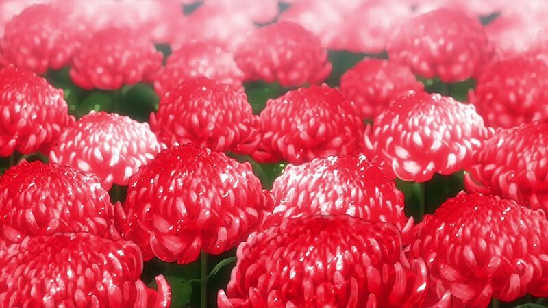 f:id:hotomaru:20210905203541j:plain