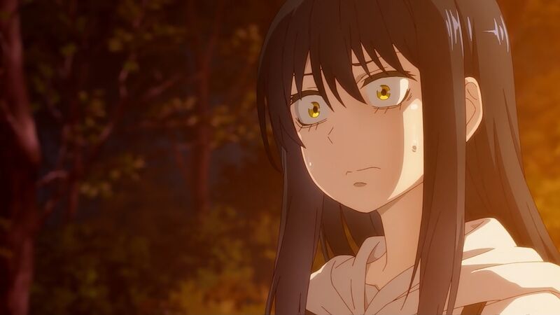 f:id:hotomaru:20211109203534j:plain