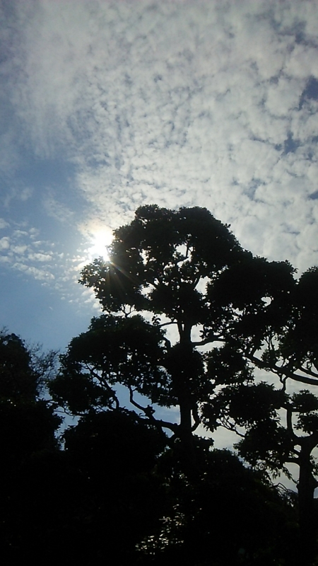 f:id:hotomo9:20150923173722j:image