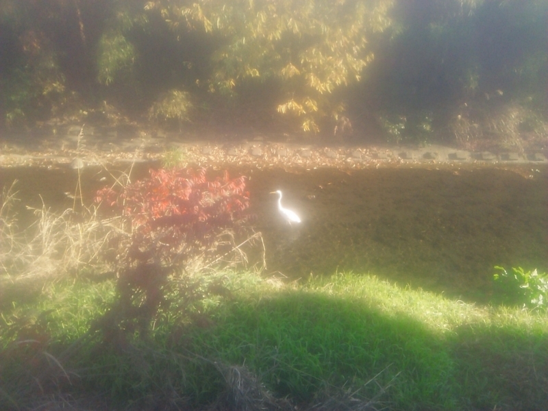 f:id:hotomo9:20171211094414j:image