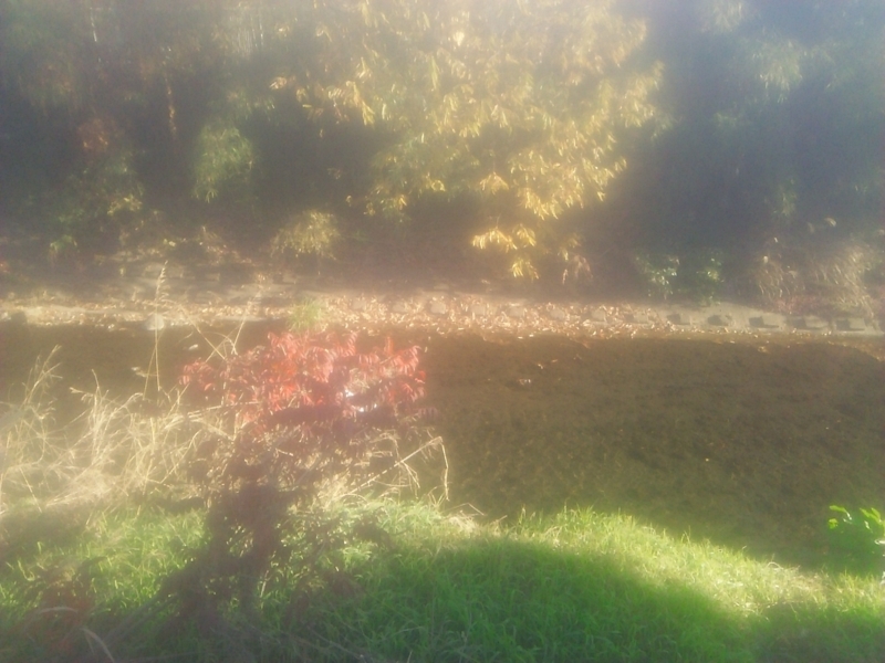 f:id:hotomo9:20171211094418j:image