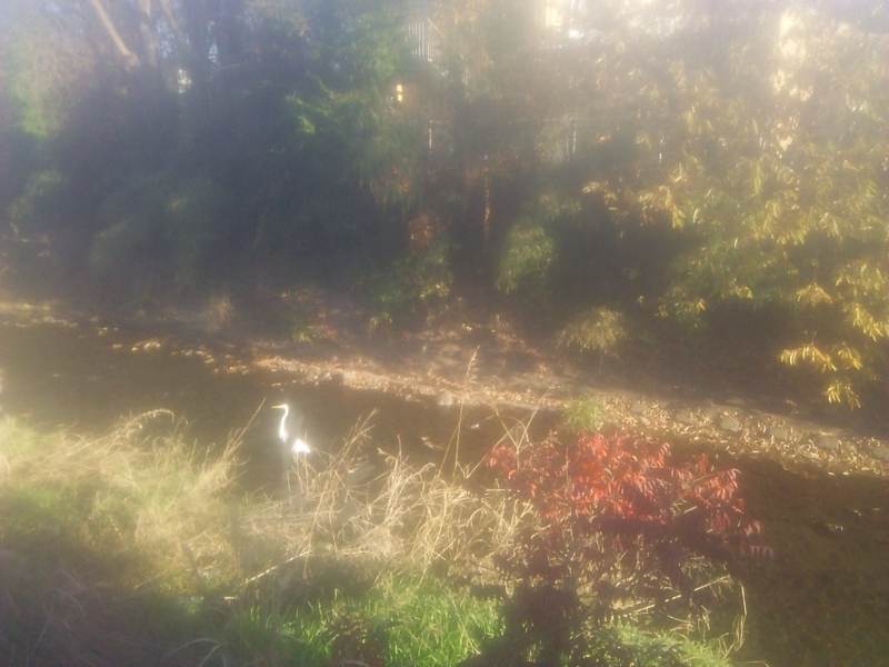 f:id:hotomo9:20171211094423j:image