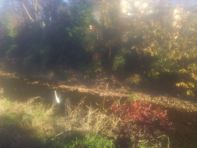 f:id:hotomo9:20171211094428j:image