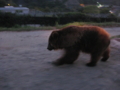 IMG_0475.JPG