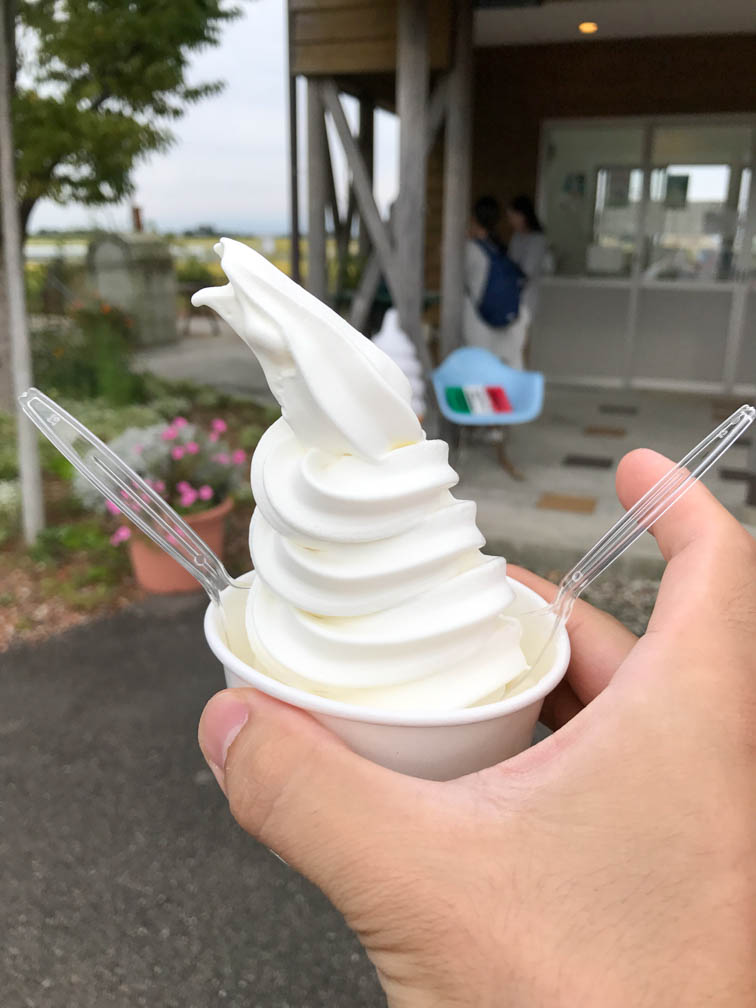 f:id:hottyhottea:20180619043551j:plain f:id:hottyhottea:20180619043551j:plain