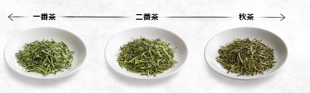 f:id:hottyhottea:20180622234957j:plain f:id:hottyhottea:20180622234957j:plain