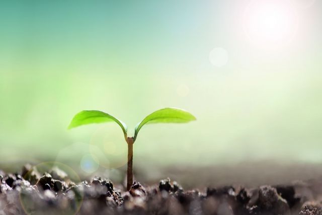 f:id:houikaiun:20180807174343j:plain