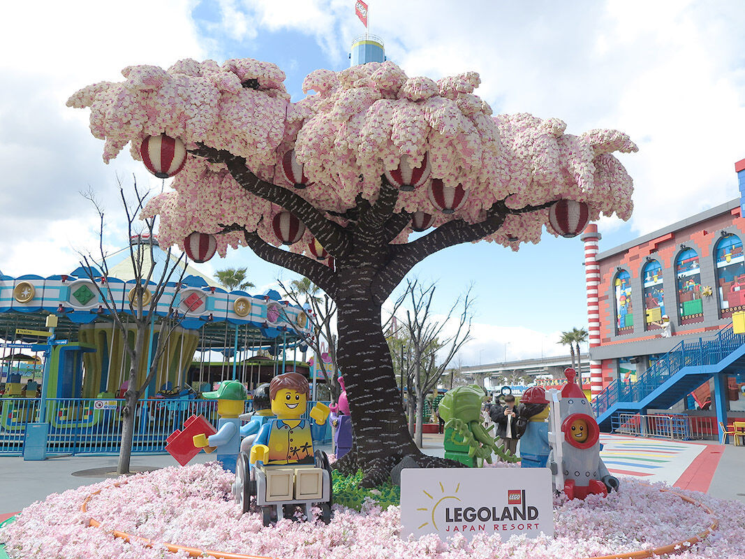 今年もレゴランドに咲き誇る満開の“桜の木”を満喫してきました