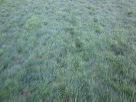f:id:houkini:20120902201208j:image f:id:houkini:20120902201208j:image