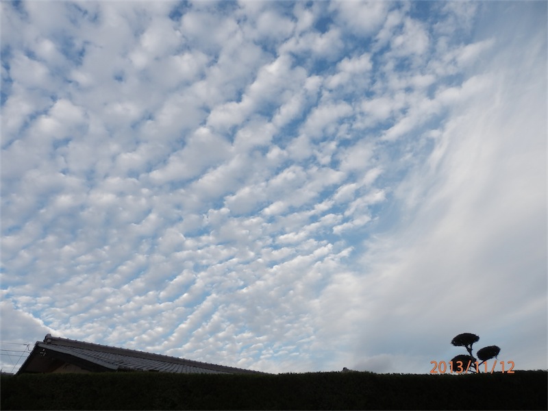 f:id:houmei:20131119015516j:image