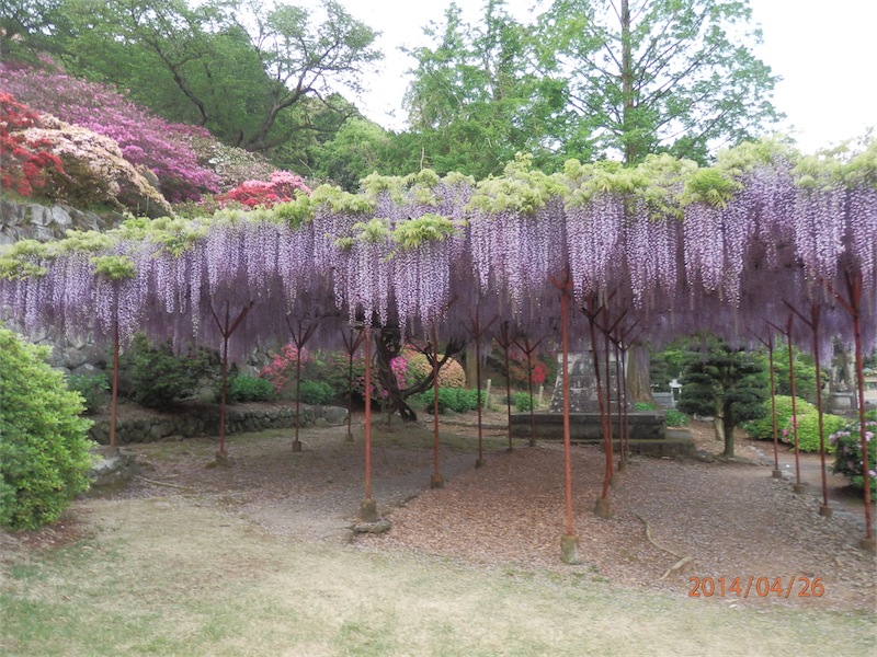 f:id:houmei:20140427231907j:image