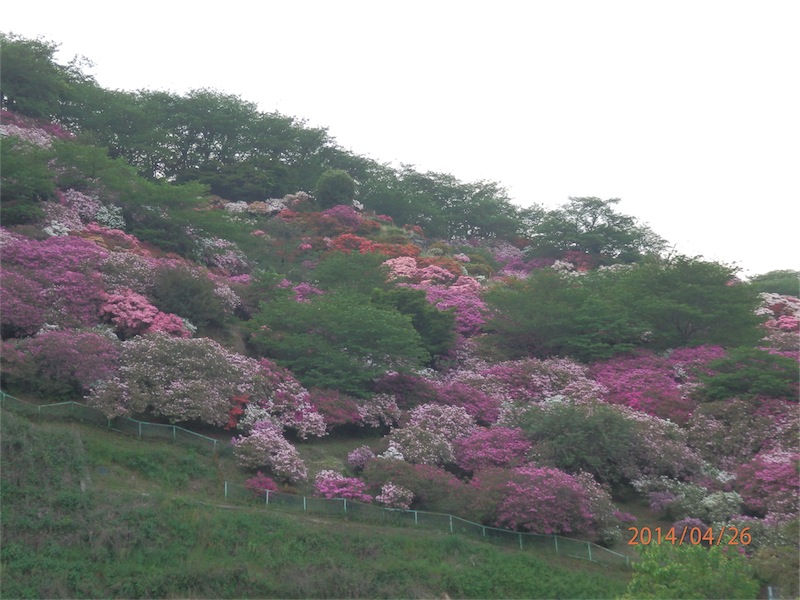 f:id:houmei:20140427231909j:image
