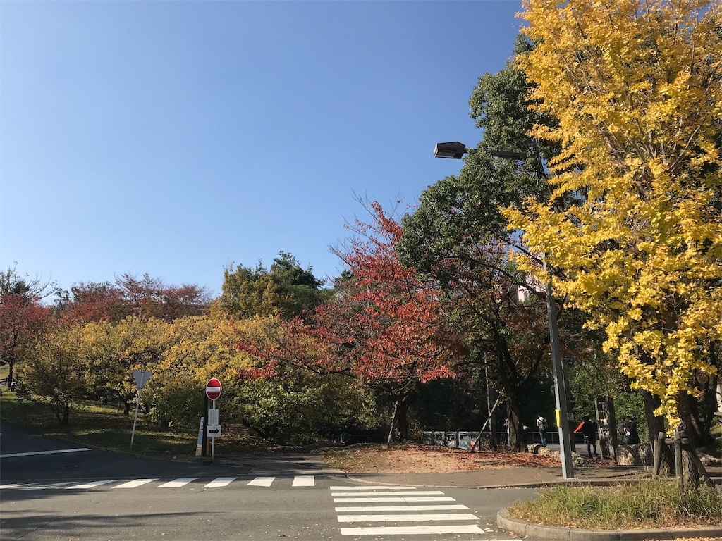 f:id:houmonki0505:20181112205543j:image f:id:houmonki0505:20181112205543j:image