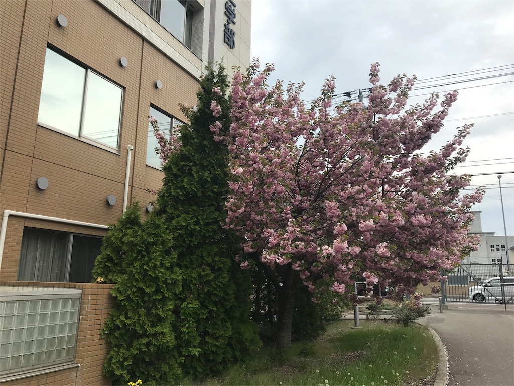 f:id:houmonki0505:20190515165926j:image