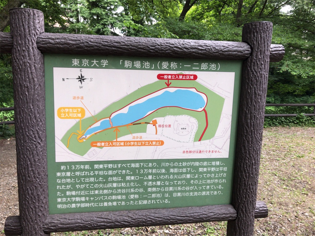 f:id:houmonki0505:20190603174537j:image