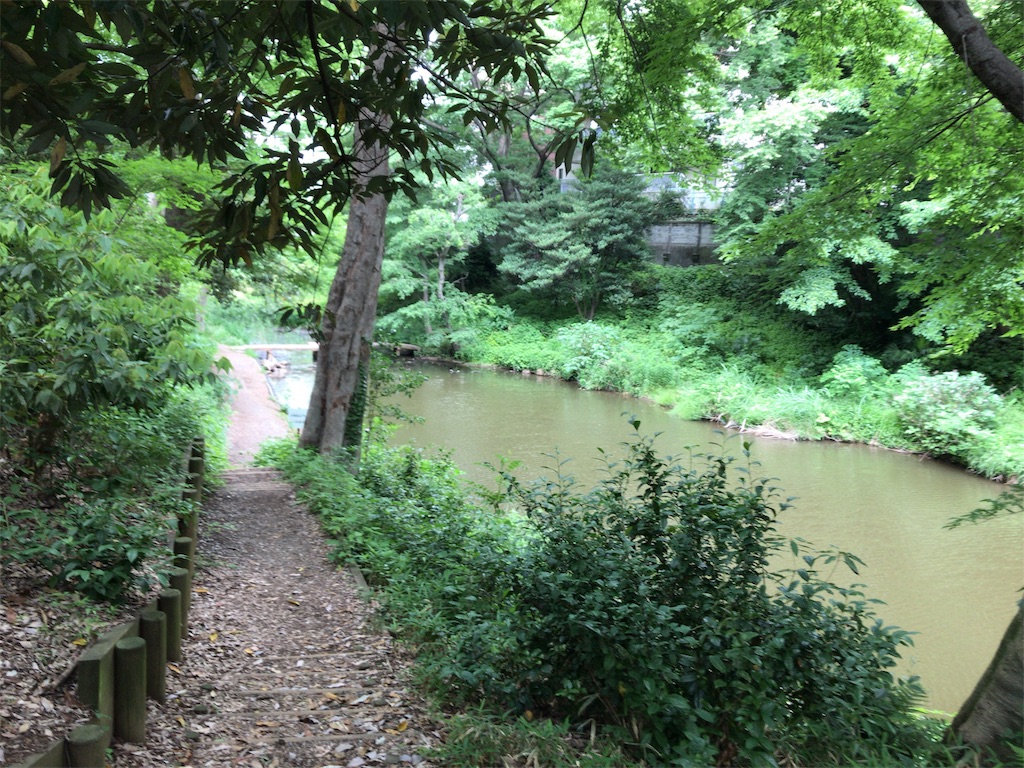 f:id:houmonki0505:20190603174540j:image