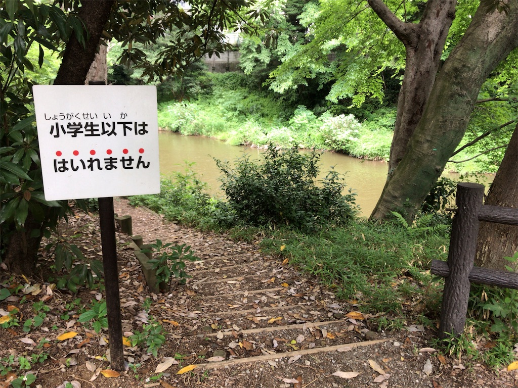 f:id:houmonki0505:20190603174543j:image