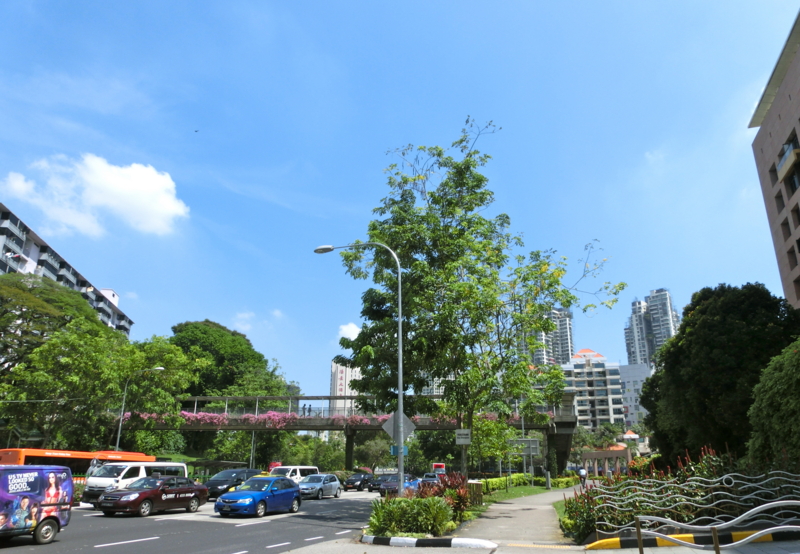f:id:hourou_world:20130531125602j:plain