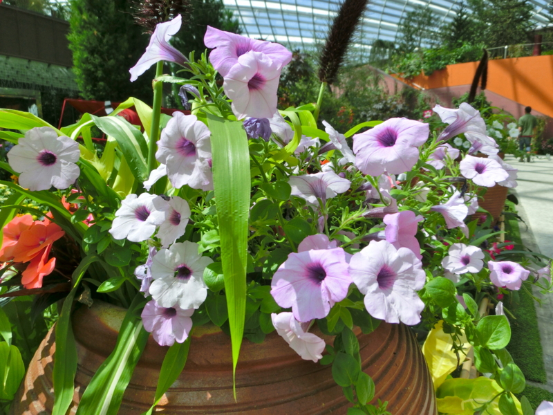 f:id:hourou_world:20130603124714j:plain