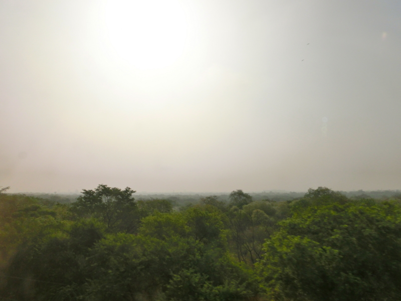 f:id:hourou_world:20130619113902j:plain