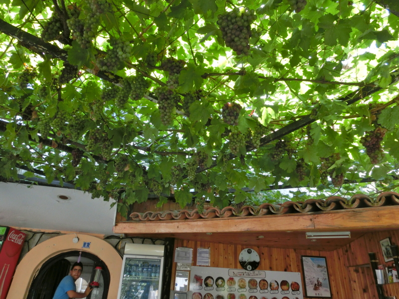 f:id:hourou_world:20130720184141j:plain