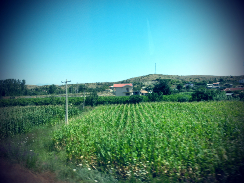f:id:hourou_world:20130802175451j:plain