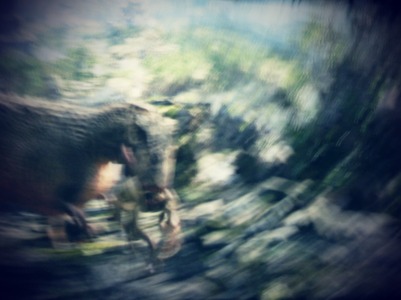 f:id:hourou_world:20131024102454j:plain
