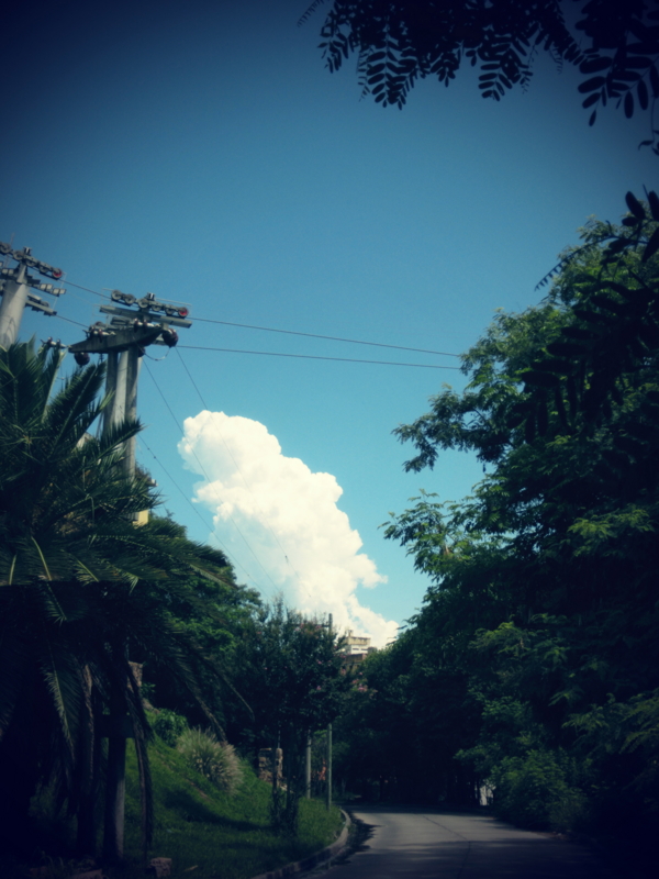 f:id:hourou_world:20140202152710j:plain
