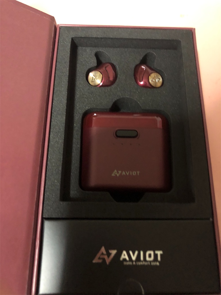 レビュー ピエール中野オススメのイヤホンaviot Te D01dでピ様のドラムを聴いてみた感想 オトニッチ 音楽の情報 Com