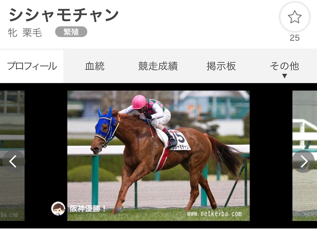 f:id:houroukamome121:20200806213145j:image