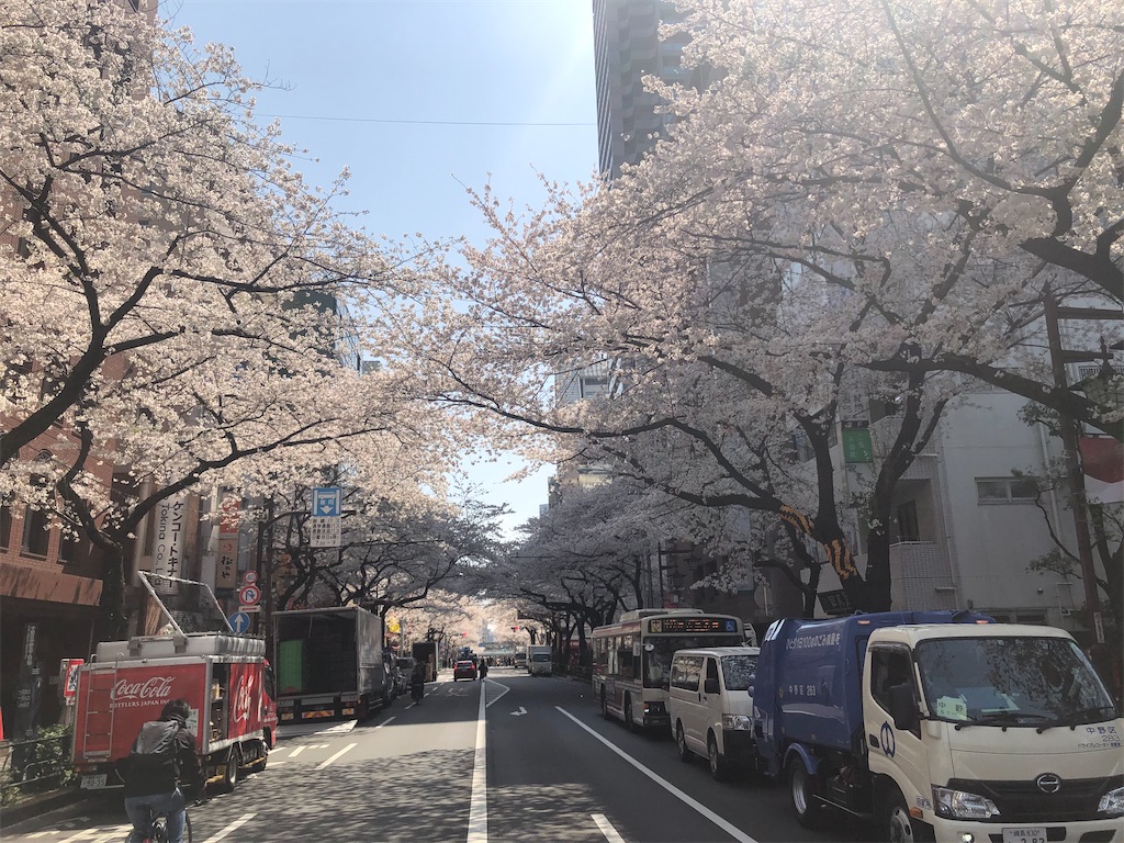 f:id:houroukamome121:20210329204847j:image