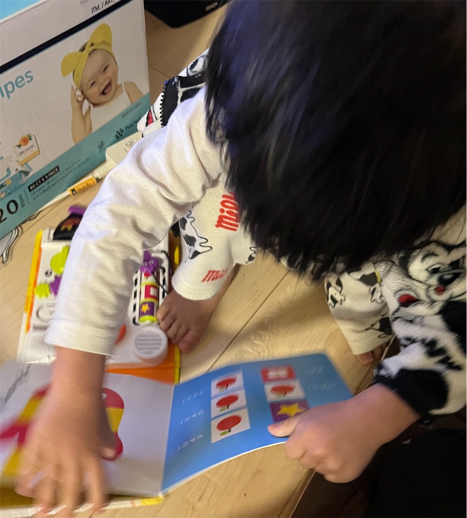 f:id:houroukamome121:20250318205358j:image