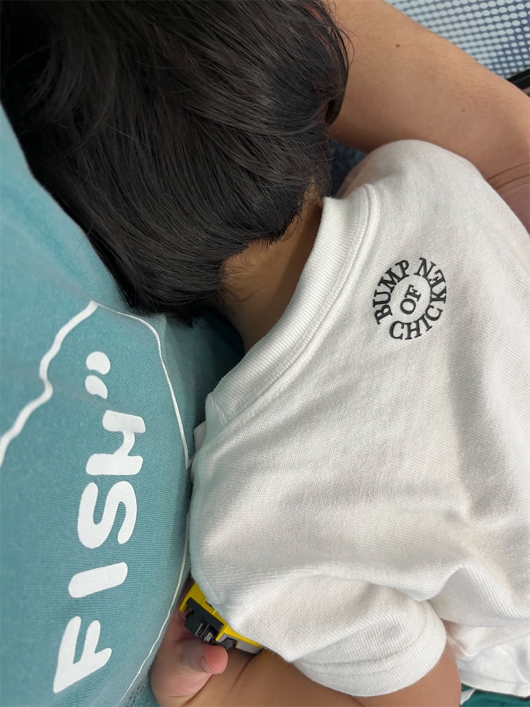 f:id:houroukamome121:20250826072531j:image