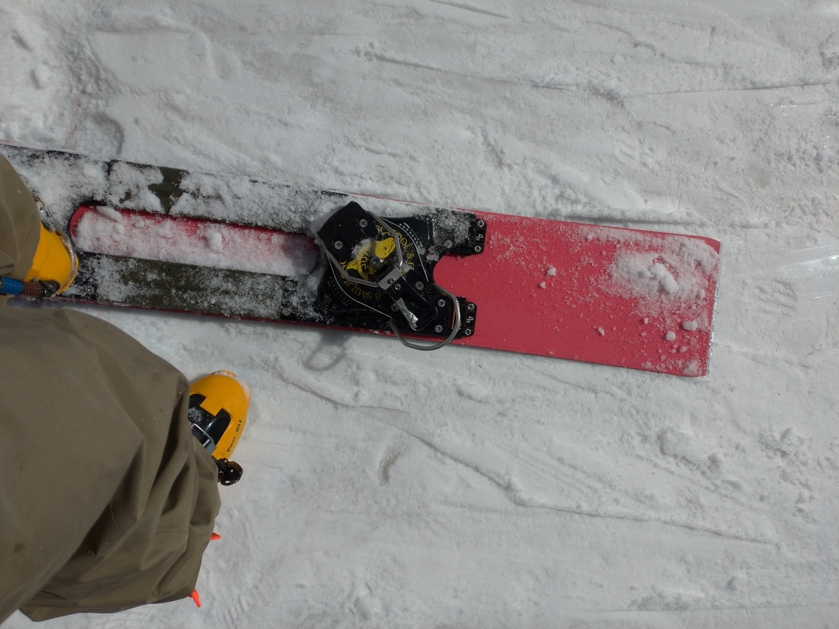 アースクルー EARTH CREW アルペンボード用プレート VIST